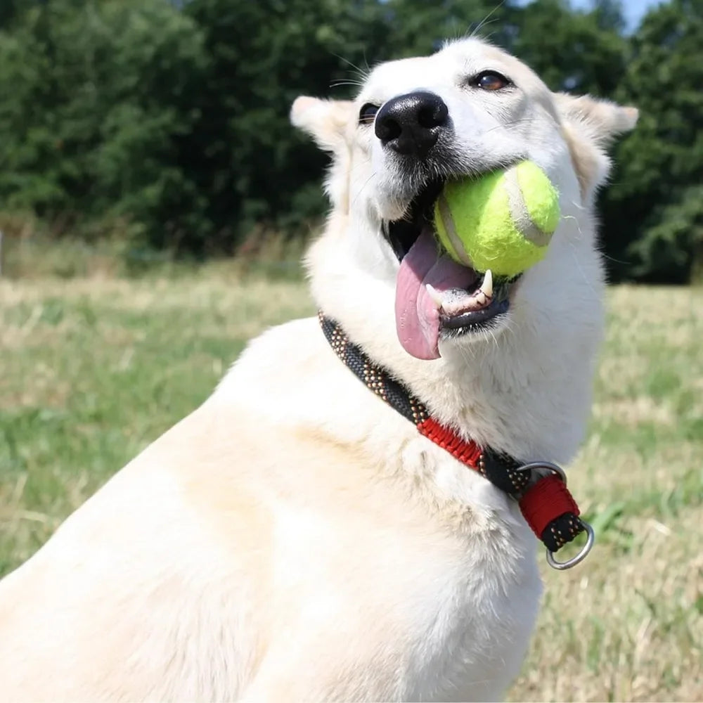 SmartFetch Dog Ball Launcher